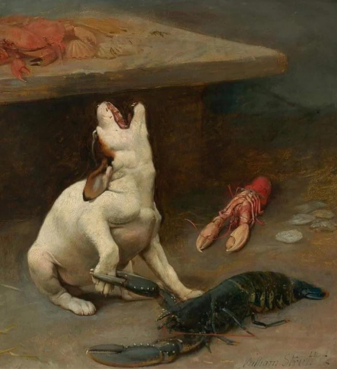 High Quality Lobster pinches dog Blank Meme Template