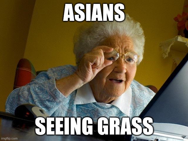 Grandma Finds The Internet | ASIANS; SEEING GRASS | image tagged in memes,grandma finds the internet | made w/ Imgflip meme maker