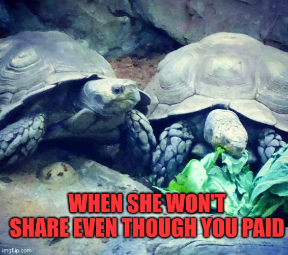 Dating woes | WHEN SHE WON'T SHARE EVEN THOUGH YOU PAID | image tagged in dating | made w/ Imgflip meme maker