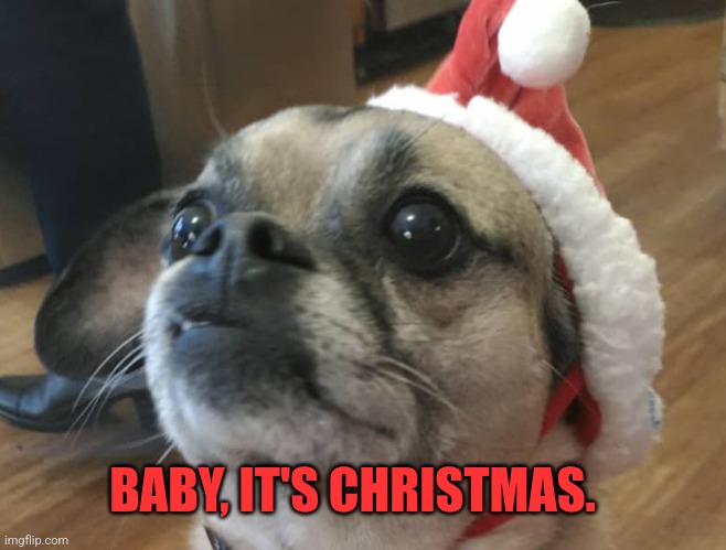 Baby, please | BABY, IT'S CHRISTMAS. | image tagged in christmas | made w/ Imgflip meme maker