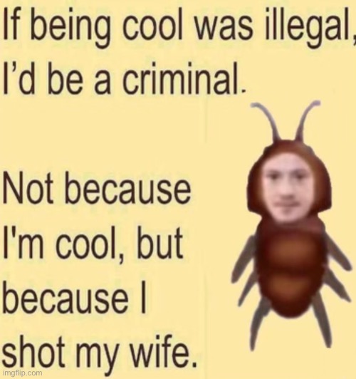If being cool was illegal | image tagged in bruh,lol,why are you reading this | made w/ Imgflip meme maker