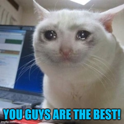 Crying cat | YOU GUYS ARE THE BEST! | image tagged in crying cat | made w/ Imgflip meme maker