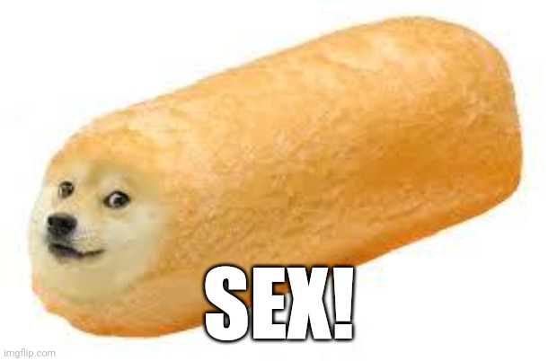 twinkie doge | SEX! | image tagged in twinkie doge | made w/ Imgflip meme maker