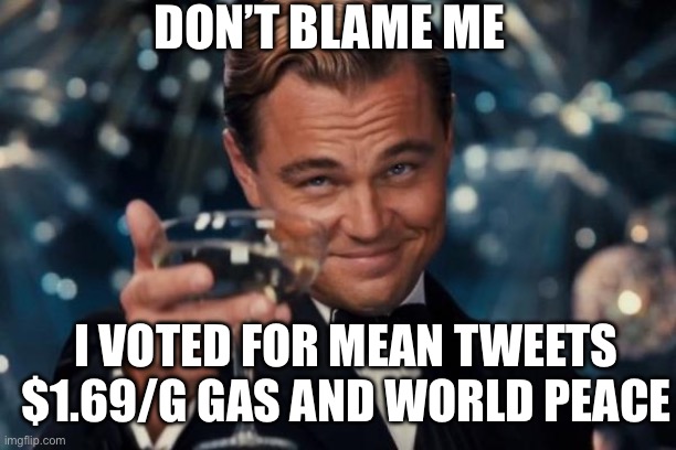 Leonardo Dicaprio Cheers | DON’T BLAME ME; I VOTED FOR MEAN TWEETS $1.69/G GAS AND WORLD PEACE | image tagged in memes,leonardo dicaprio cheers | made w/ Imgflip meme maker