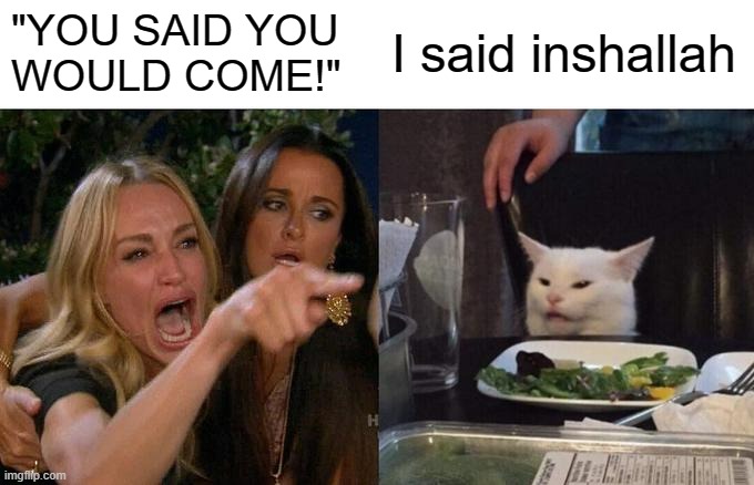 inshallah | "YOU SAID YOU
WOULD COME!"; I said inshallah | image tagged in memes,woman yelling at cat,muslim,halal,islam | made w/ Imgflip meme maker