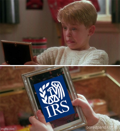 IRS Girlfriend Woof | image tagged in irs,home alone,woof,libertarian | made w/ Imgflip meme maker