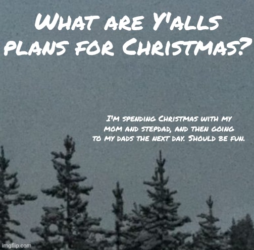 You know I'm tired when my speech becomes so southwest that I say "y'alls" | What are Y'alls plans for Christmas? I'm spending Christmas with my mom and stepdad, and then going to my dads the next day. Should be fun. | image tagged in cold | made w/ Imgflip meme maker