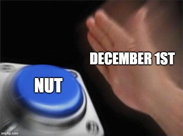 NNN | DECEMBER 1ST; NUT | image tagged in memes,blank nut button | made w/ Imgflip meme maker