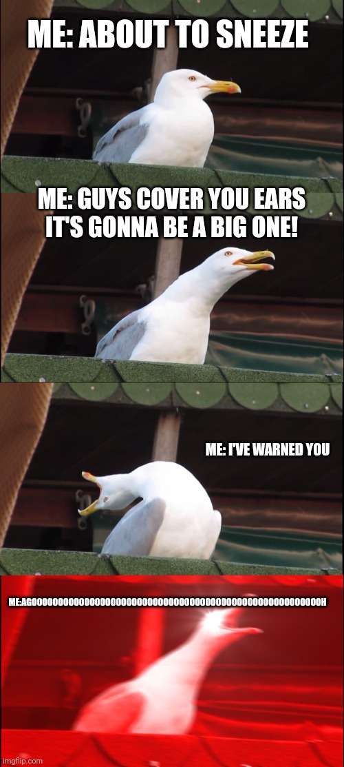 Lol | ME: ABOUT TO SNEEZE; ME: GUYS COVER YOU EARS IT'S GONNA BE A BIG ONE! ME: I'VE WARNED YOU; ME:AGOOOOOOOOOOOOOOOOOOOOOOOOOOOOOOOOOOOOOOOOOOOOOOOOOOOOOOOH | image tagged in memes,inhaling seagull | made w/ Imgflip meme maker