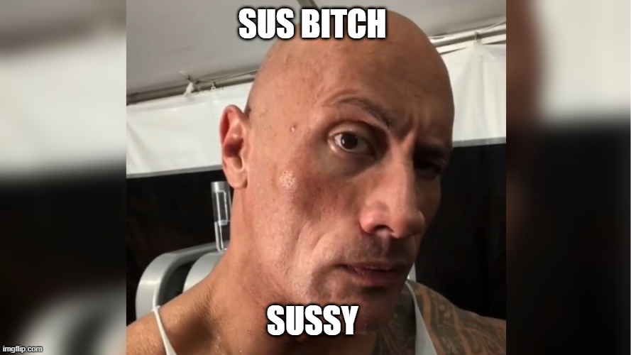 SUSSY | SUS BITCH; SUSSY | image tagged in memes | made w/ Imgflip meme maker