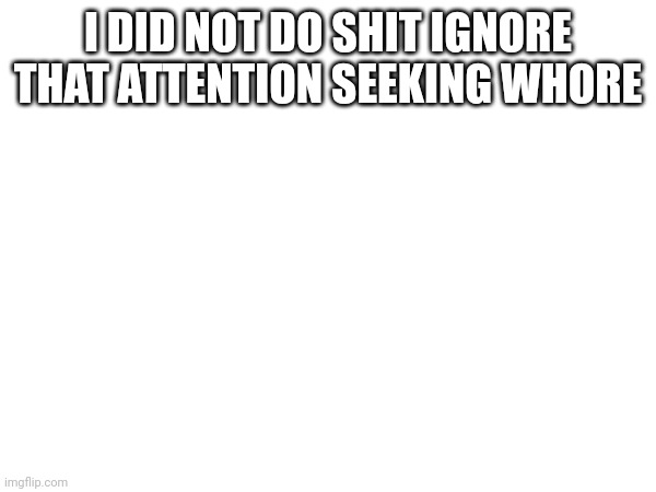 I DID NOT DO SHIT IGNORE THAT ATTENTION SEEKING WHORE | made w/ Imgflip meme maker