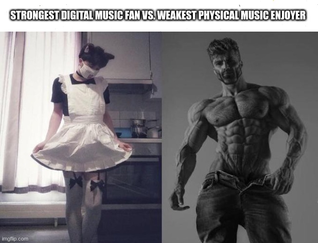 if you like vinyl you're based | STRONGEST DIGITAL MUSIC FAN VS. WEAKEST PHYSICAL MUSIC ENJOYER | image tagged in blank white top template thin | made w/ Imgflip meme maker