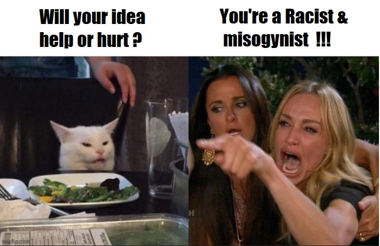 Leftist response to EVERYTHING -- call the person a racist | image tagged in leftist response to everything -- call the person a racist | made w/ Imgflip meme maker