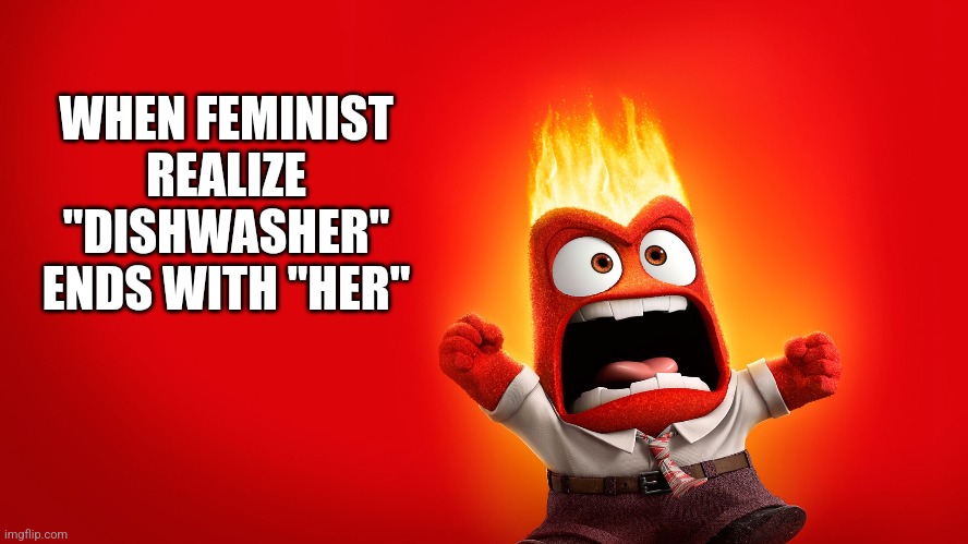 WHEN FEMINIST REALIZE "DISHWASHER" ENDS WITH "HER" | image tagged in funny memes | made w/ Imgflip meme maker