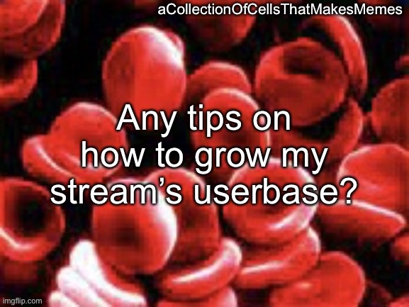 https://imgflip.com/m/MSMG_Circlejerk | Any tips on how to grow my stream’s userbase? | image tagged in acollectionofcellsthatmakesmemes announcement template | made w/ Imgflip meme maker
