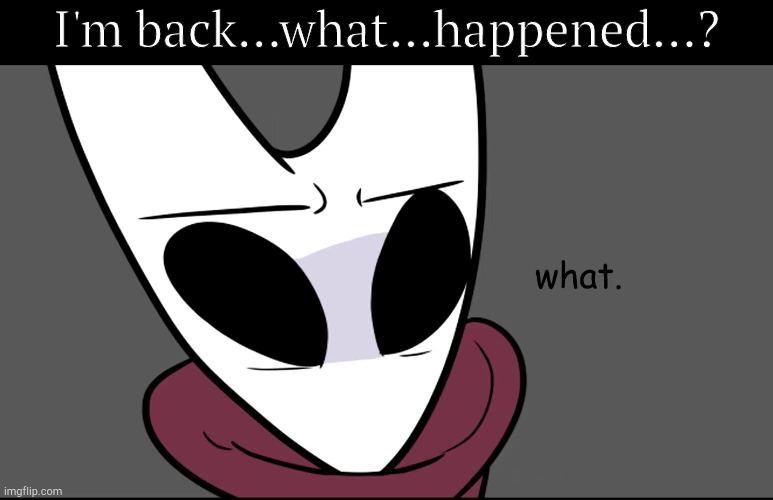 Hornet what | I'm back...what...happened...? | image tagged in hornet what | made w/ Imgflip meme maker