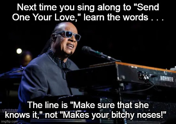 Stevie Wonder misheard lyric | Next time you sing along to "Send One Your Love," learn the words . . . The line is "Make sure that she knows it," not "Makes your bitchy noses!" | image tagged in stevie wonder,send one your love | made w/ Imgflip meme maker
