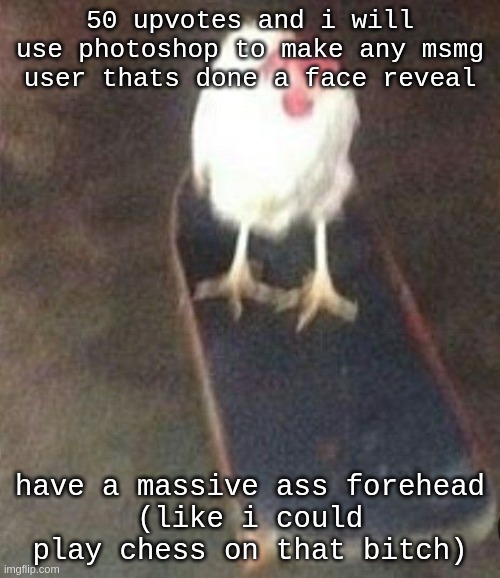 i dont have photoshop experience- (honu: I DO) | 50 upvotes and i will use photoshop to make any msmg user thats done a face reveal; have a massive ass forehead
(like i could play chess on that bitch) | image tagged in dog on skateboard | made w/ Imgflip meme maker