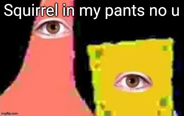 [undefined] | Squirrel in my pants no u | image tagged in undefined | made w/ Imgflip meme maker