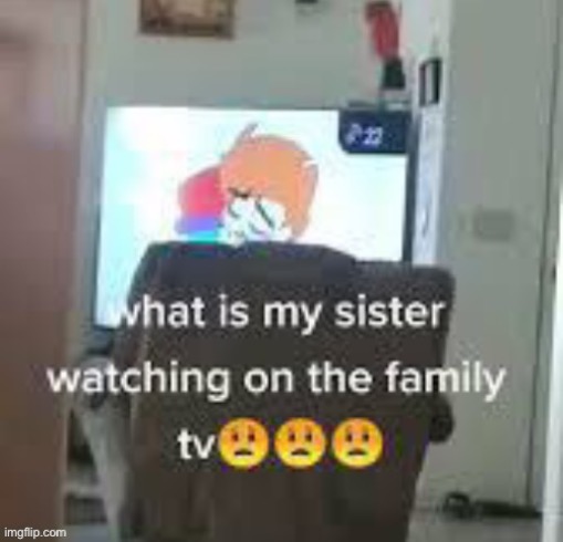 Mildésmallington Family TV | made w/ Imgflip meme maker