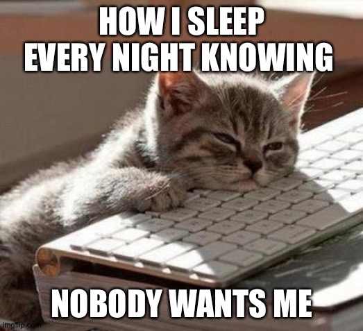 tired cat | HOW I SLEEP EVERY NIGHT KNOWING NOBODY WANTS ME | image tagged in tired cat | made w/ Imgflip meme maker