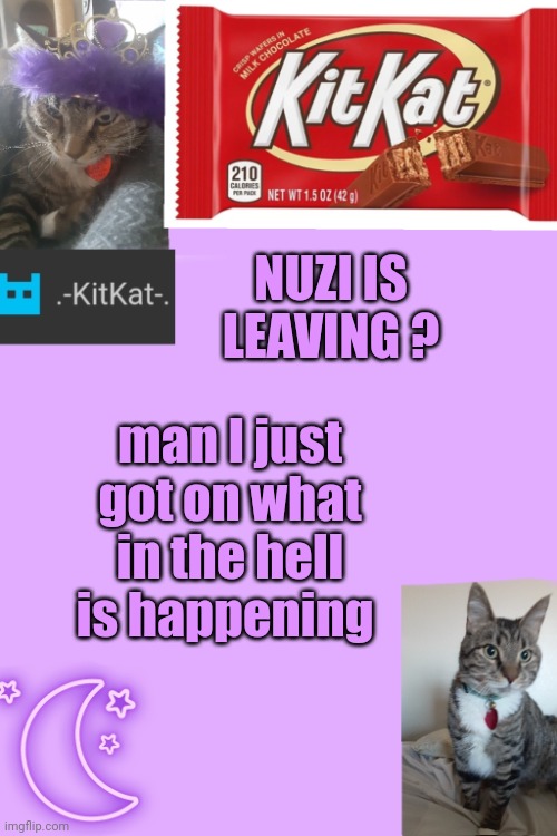Kittys announcement template kitkat addition | NUZI IS LEAVING ? man I just got on what in the hell is happening | image tagged in kittys announcement template kitkat addition | made w/ Imgflip meme maker