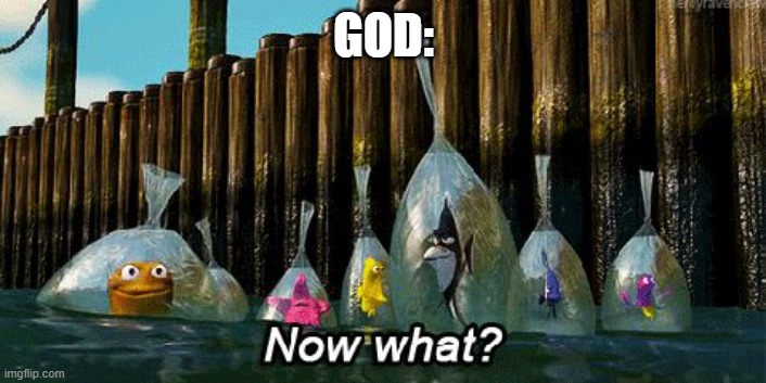 Now What? | GOD: | image tagged in now what | made w/ Imgflip meme maker