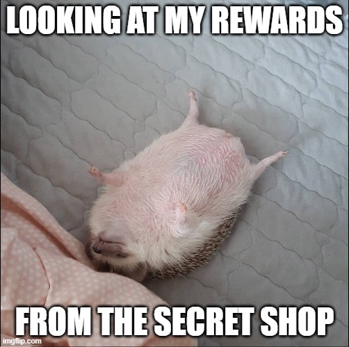 LOOKING AT MY REWARDS; FROM THE SECRET SHOP | made w/ Imgflip meme maker