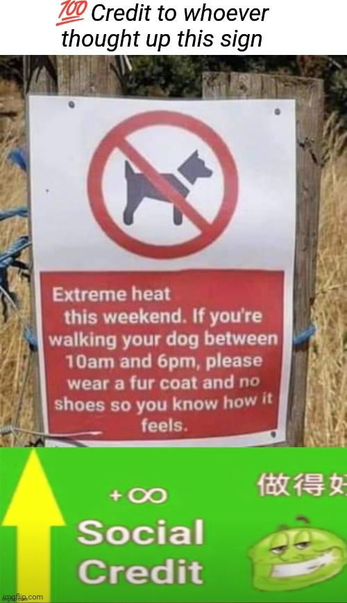 Don't walk dogs in the heat | 💯 Credit to whoever thought up this sign | image tagged in social credit,walking dog,dogs,warning sign,signs/billboards | made w/ Imgflip meme maker