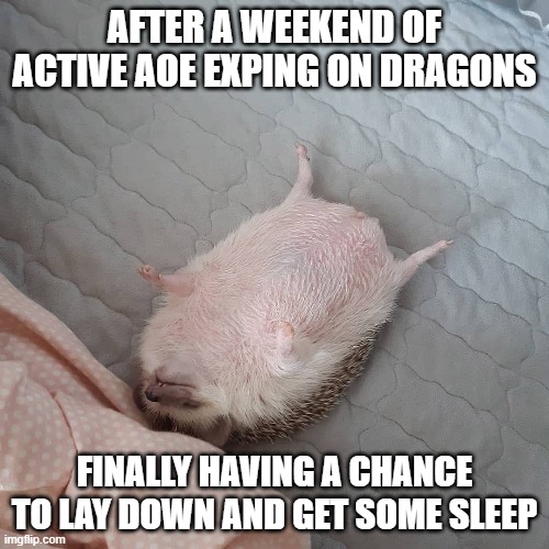 AFTER A WEEKEND OF ACTIVE AOE EXPING ON DRAGONS; FINALLY HAVING A CHANCE TO LAY DOWN AND GET SOME SLEEP | made w/ Imgflip meme maker