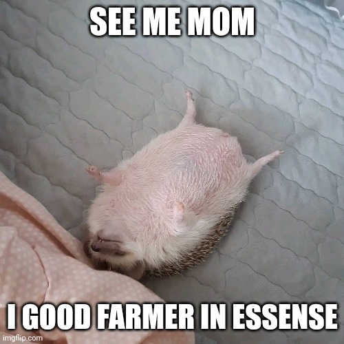 SEE ME MOM; I GOOD FARMER IN ESSENSE | made w/ Imgflip meme maker