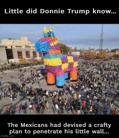 Craftyyyy | Little did Donnie Trump know…; The Mexicans had devised a crafty plan to penetrate his little wall… | image tagged in donnie | made w/ Imgflip meme maker