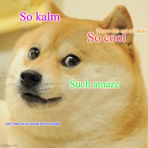 Doge | So kalm; I have ran out of ideas; So cool; Such amaze; GET THIS BLUE NOOB OUTTA HERE | image tagged in memes,doge | made w/ Imgflip meme maker