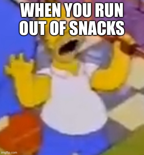 Noooooooooo | WHEN YOU RUN OUT OF SNACKS | image tagged in the simpsons | made w/ Imgflip meme maker