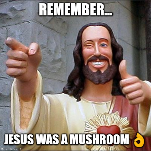 Buddy Christ | REMEMBER... JESUS WAS A MUSHROOM 👌 | image tagged in memes,buddy christ | made w/ Imgflip meme maker