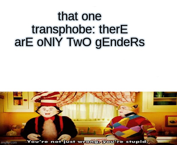 transphobe meme- | that one transphobe: therE arE oNlY TwO gEndeRs | image tagged in memes,lgbtq,ha gay | made w/ Imgflip meme maker