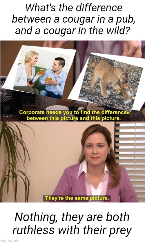 Cougars Compared | What's the difference between a cougar in a pub, and a cougar in the wild? Nothing, they are both ruthless with their prey | image tagged in memes,they're the same picture,cougar,pub,prey,funny memes | made w/ Imgflip meme maker