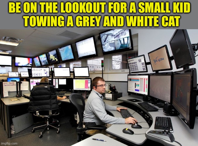 911 Dispatch | BE ON THE LOOKOUT FOR A SMALL KID
  TOWING A GREY AND WHITE CAT | image tagged in 911 dispatch | made w/ Imgflip meme maker