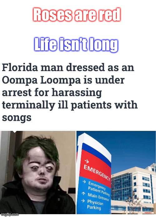 willy wonka moment | Roses are red; Life isn’t long | image tagged in blank text bar,meme,funny,cursed,front page | made w/ Imgflip meme maker