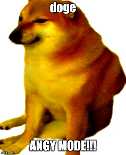 doge go GRRRRR | doge; ANGY MODE!!! | image tagged in angry doge | made w/ Imgflip meme maker