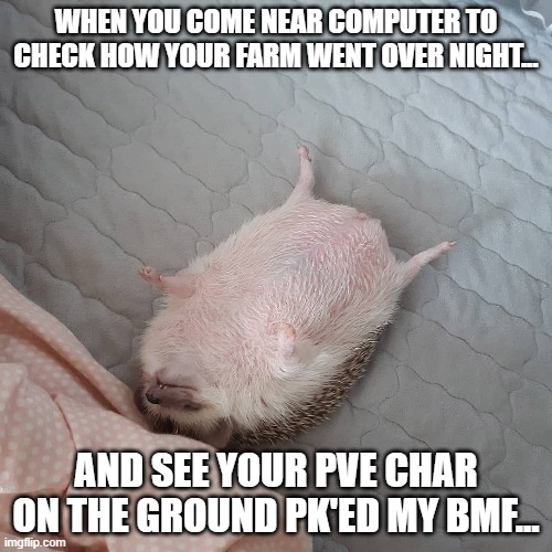 WHEN YOU COME NEAR COMPUTER TO CHECK HOW YOUR FARM WENT OVER NIGHT... AND SEE YOUR PVE CHAR ON THE GROUND PK'ED MY BMF... | made w/ Imgflip meme maker