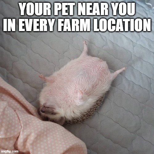 YOUR PET NEAR YOU IN EVERY FARM LOCATION | made w/ Imgflip meme maker