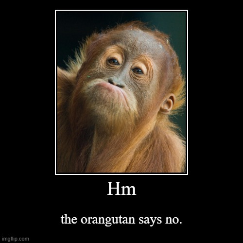 Hm | the orangutan says no. | image tagged in funny,demotivationals,memes,orangutan,no | made w/ Imgflip demotivational maker