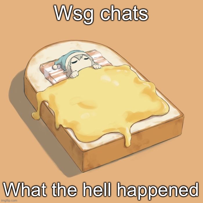 Avogado6 depression | Wsg chats; What the hell happened | image tagged in avogado6 depression | made w/ Imgflip meme maker