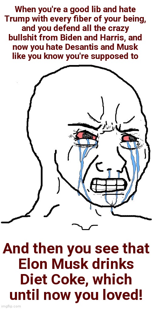 Crying Liberal | When you're a good lib and hate
Trump with every fiber of your being,
and you defend all the crazy
bullshit from Biden and Harris, and
now you hate Desantis and Musk
like you know you're supposed to; And then you see that
Elon Musk drinks
Diet Coke, which
until now you loved! | image tagged in crying liberal,elon musk,diet coke,liberals,hatred,twitter | made w/ Imgflip meme maker