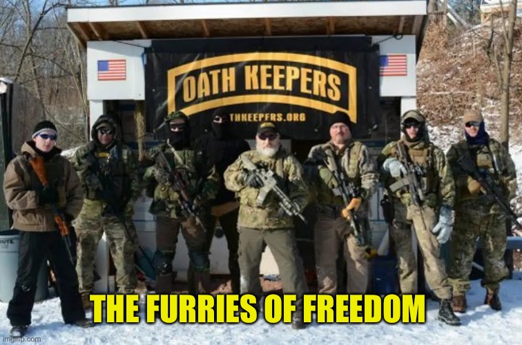 Oath Keepers looking tough | THE FURRIES OF FREEDOM | image tagged in oath keepers looking tough | made w/ Imgflip meme maker