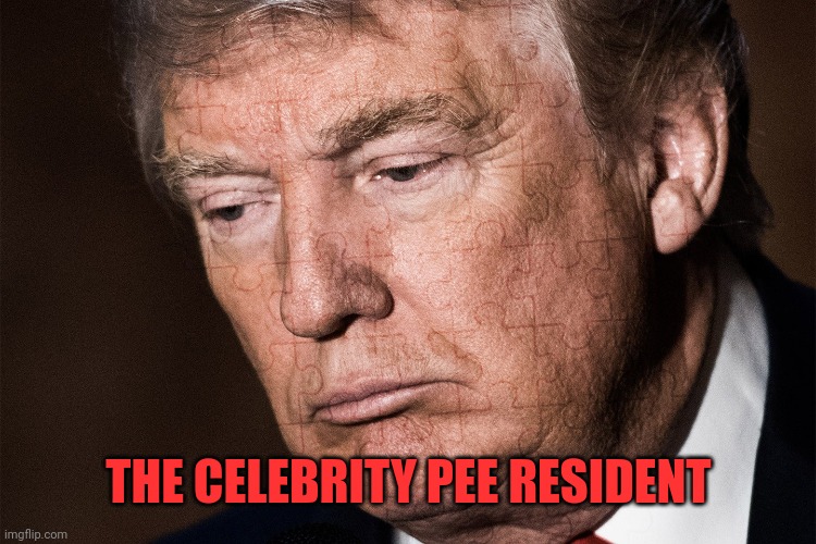 Trump Sad | THE CELEBRITY PEE RESIDENT | image tagged in trump sad | made w/ Imgflip meme maker