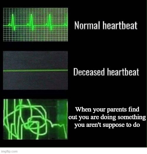 parents find out you are doing something   that is a shame:l | When your parents find out you are doing something you aren't suppose to do | image tagged in normal heartbeat deceased heartbeat | made w/ Imgflip meme maker