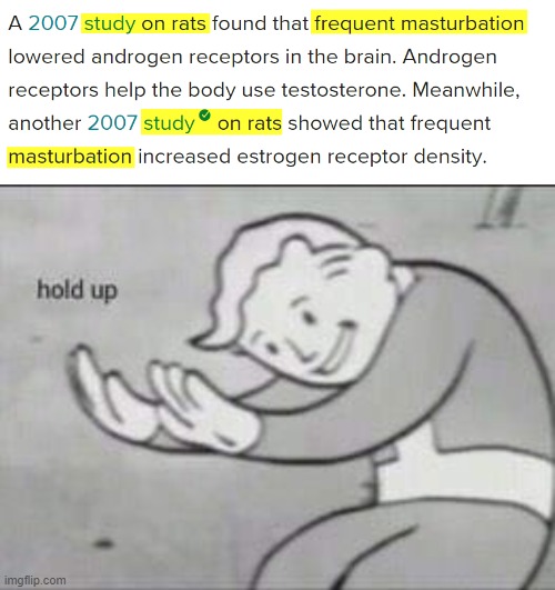 All my respect for rats is gone | image tagged in fallout hold up | made w/ Imgflip meme maker