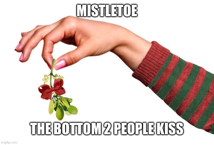 Mistletoe  | MISTLETOE; THE BOTTOM 2 PEOPLE KISS | image tagged in mistletoe | made w/ Imgflip meme maker